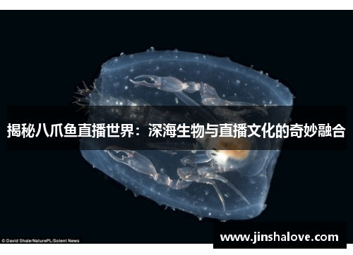 揭秘八爪鱼直播世界：深海生物与直播文化的奇妙融合