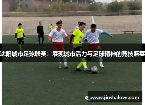 沈阳城市足球联赛：展现城市活力与足球精神的竞技盛宴